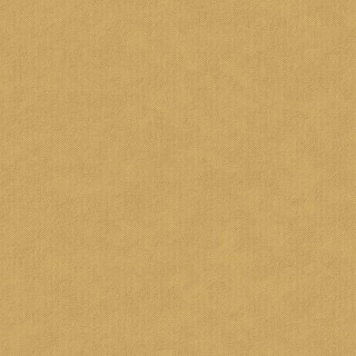 КолекціяPalette, B00011