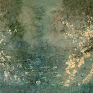 Коллекция  Aracne, A00336