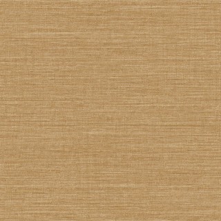 Колекція Cocoon, CO301