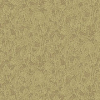 Колекція Havana, HAV203