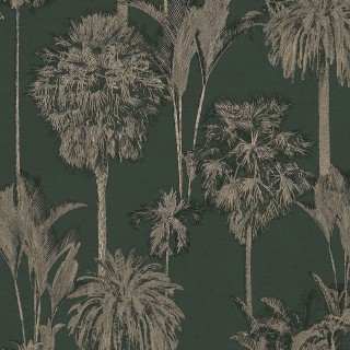 Колекція Oasis, 317320