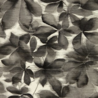 Колекція Colour 4, HC4W113005