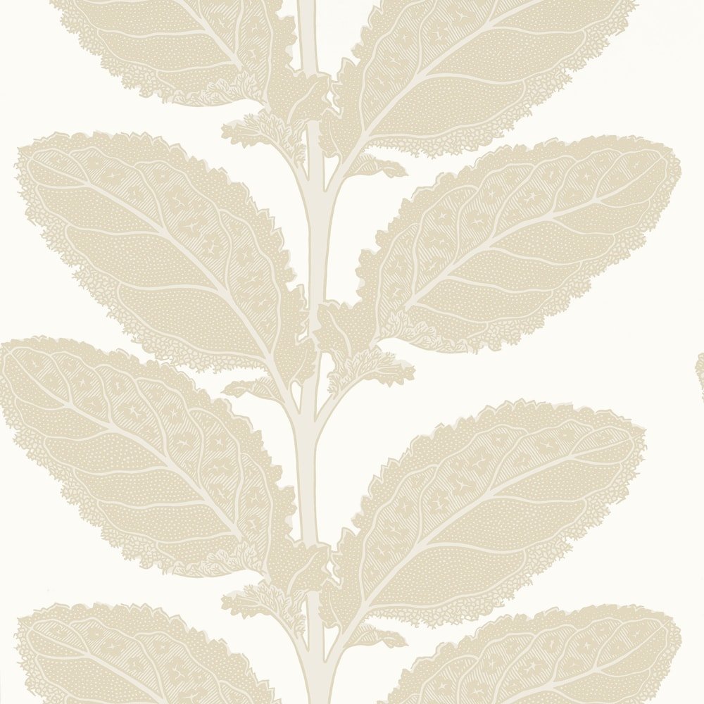 Колекція Vista, T12041