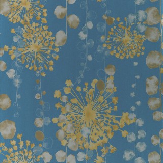 Коллекция Anthozoa, HANZ111651