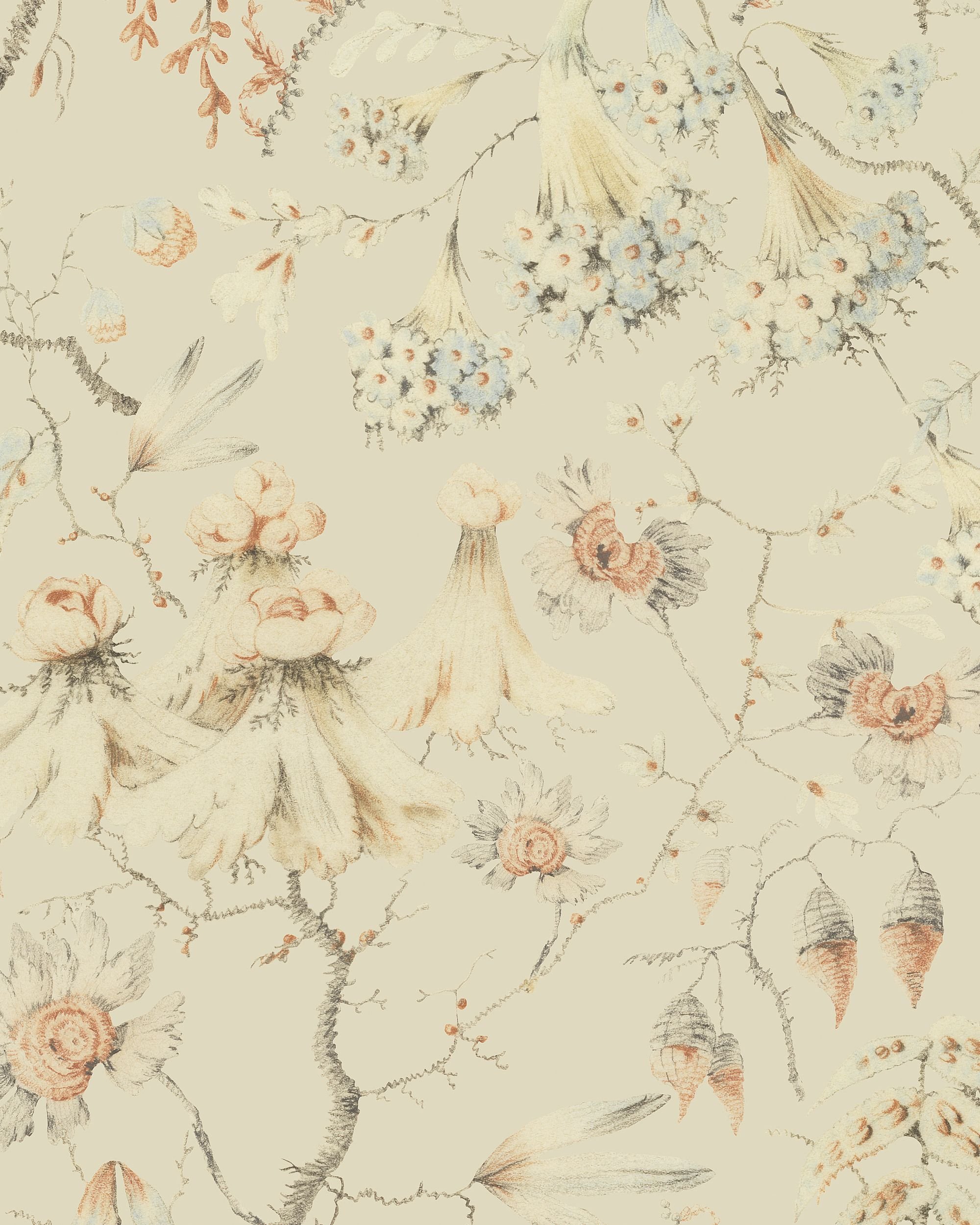 Колекція Transylvanian Roots , WP30018