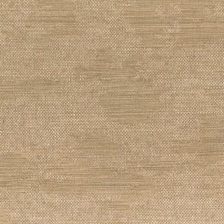 Колекція Adobe, 41302