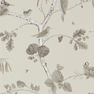 Колекція Woodland Walk, DWOW215704