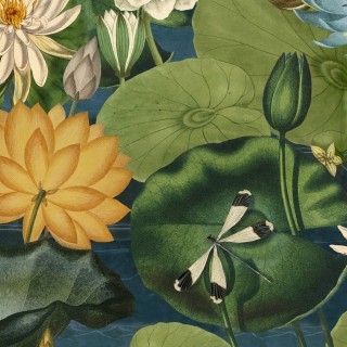 Колекція The Wetlands, WP20723