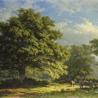 Колекція Painted Memories 2, 8041