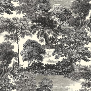Колекція Amazone, DGSAL1011 > 1014-260