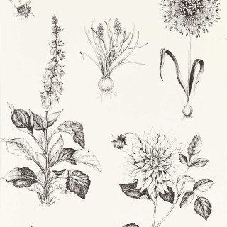 Колекція Secret Garden, W0197/02