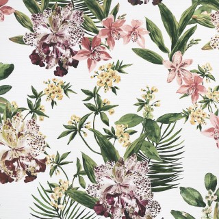Колекція Aloha Orchid, 10556