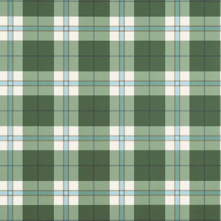 Колекція Stripes and Checks, T44071