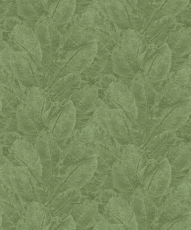 Колекція Havana, HAV302