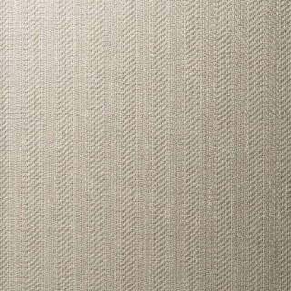 Колекція Ted Baker, 14006W7505804