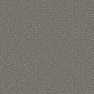 Колекція Curio, 107/4017