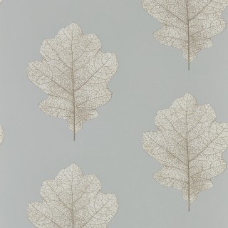 Колекція Woodland Walk, DWOW215702
