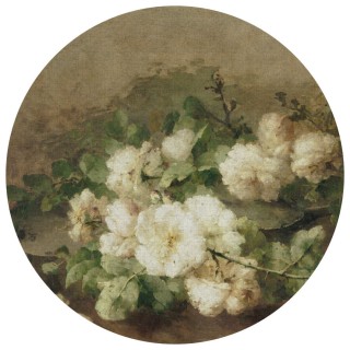 Колекція Painted Memories 2, 8052C