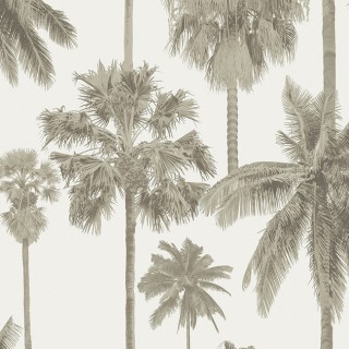 Колекція Malibu, Ml01415
