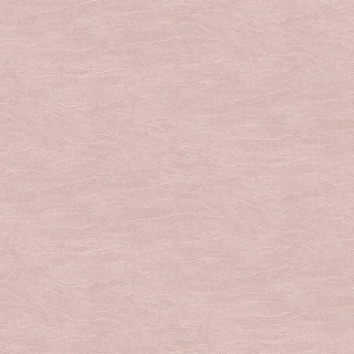 Колекція The Colour Book II, TER006