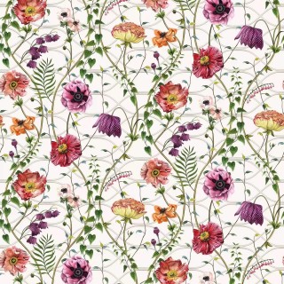 Колекція Lamorran, W7684-01