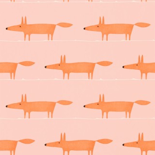 Колекція Midi Fox, NHAP112816