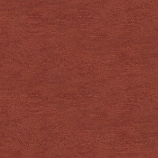 Колекція The Colour Book II, TER004