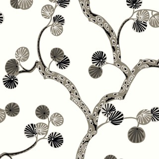 Колекція Piano, WH41018