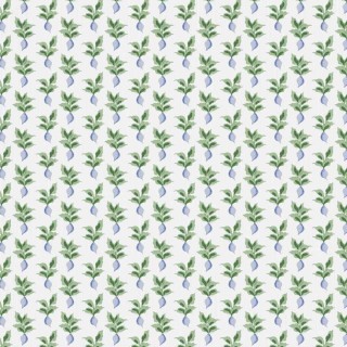 Коллекция Bloom & Lattice, 50407W1064103