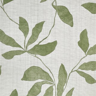 Колекція Desert Ivy, 40203