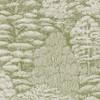 Колекція Woodland Walk, DWOW215720