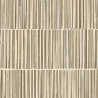 Колекція Terra, 391513