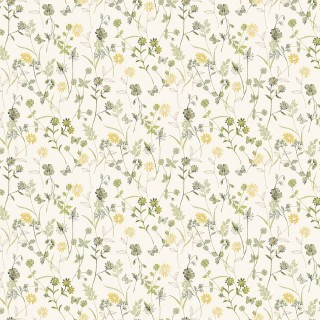 Коллекция  Amazone, ZON103