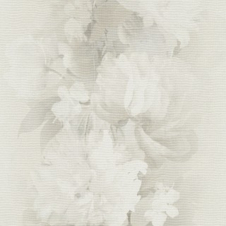 Коллекция  Aurora, 12243-02