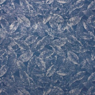 Коллекция  Pasha, W6752-05