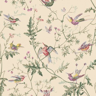 Коллекция Selection of Hummingbirds, 100/14071