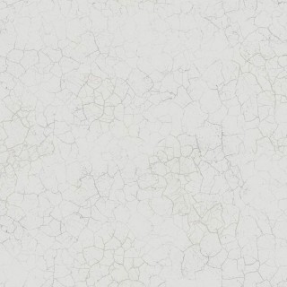 Колекція Transition, fj31208
