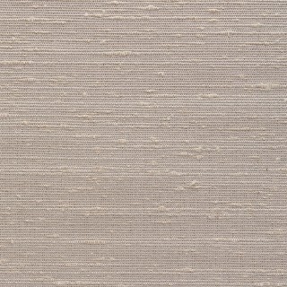Колекція Boucle Nights, 8972