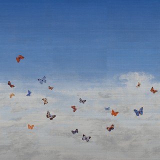 Колекція Butterfly Sky, 9669