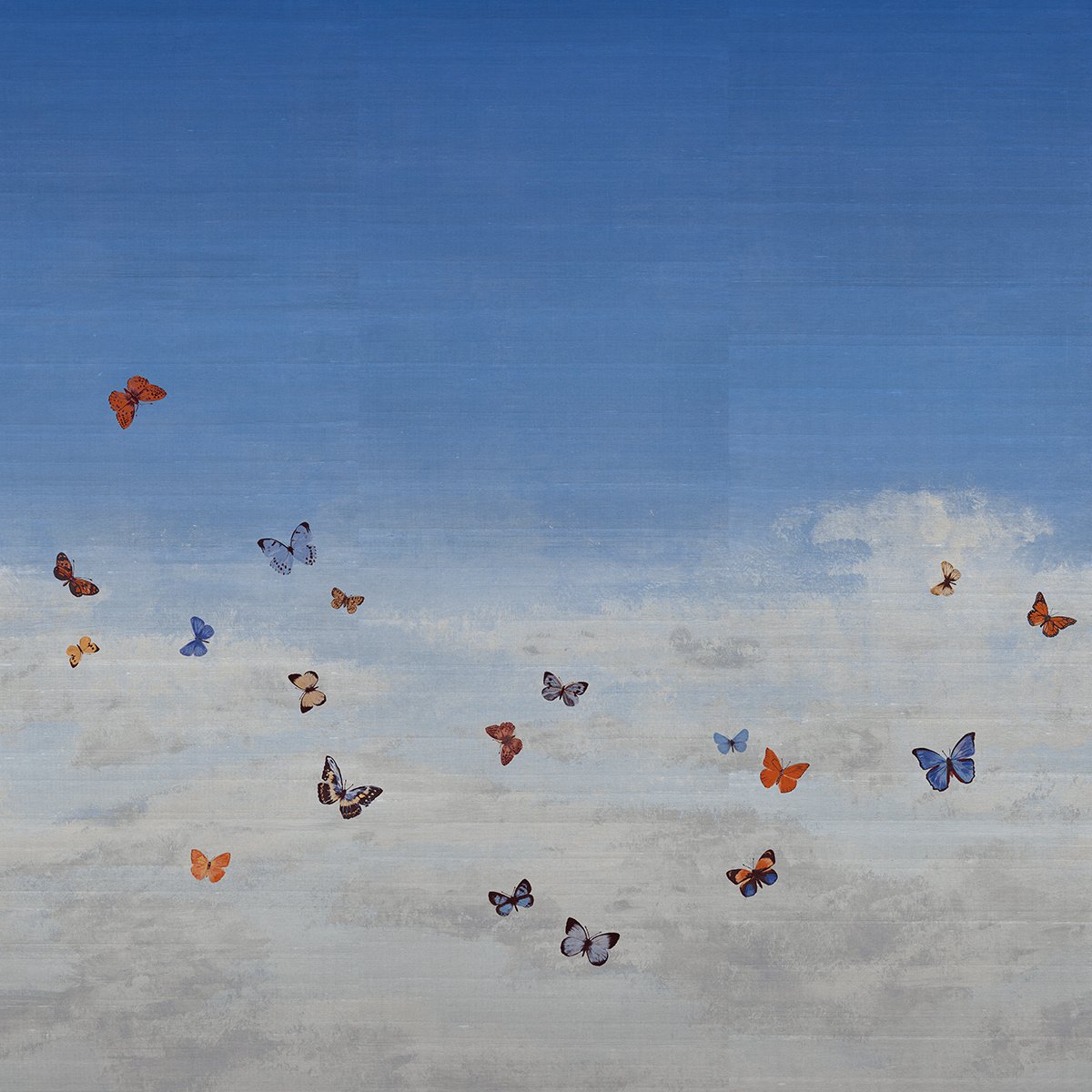 Колекція Butterfly Sky, 9669
