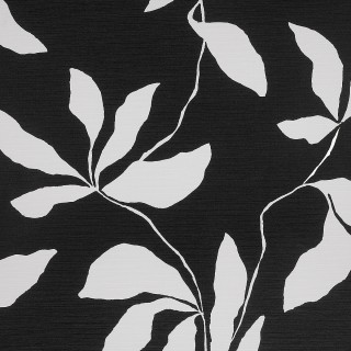 Колекція Desert Ivy, 40207