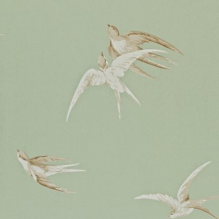 Колекція One Sixty, DVIWSW102