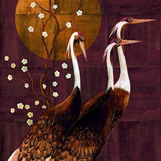 Коллекция Traces, DGTRA7011