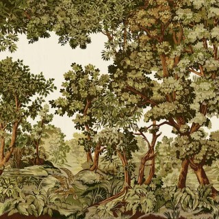 Колекція Arboretum Graham, 128544