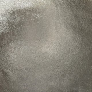 Колекція Anna Klovak, Champagne silver