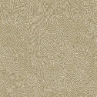 Колекція Thom, TH9921