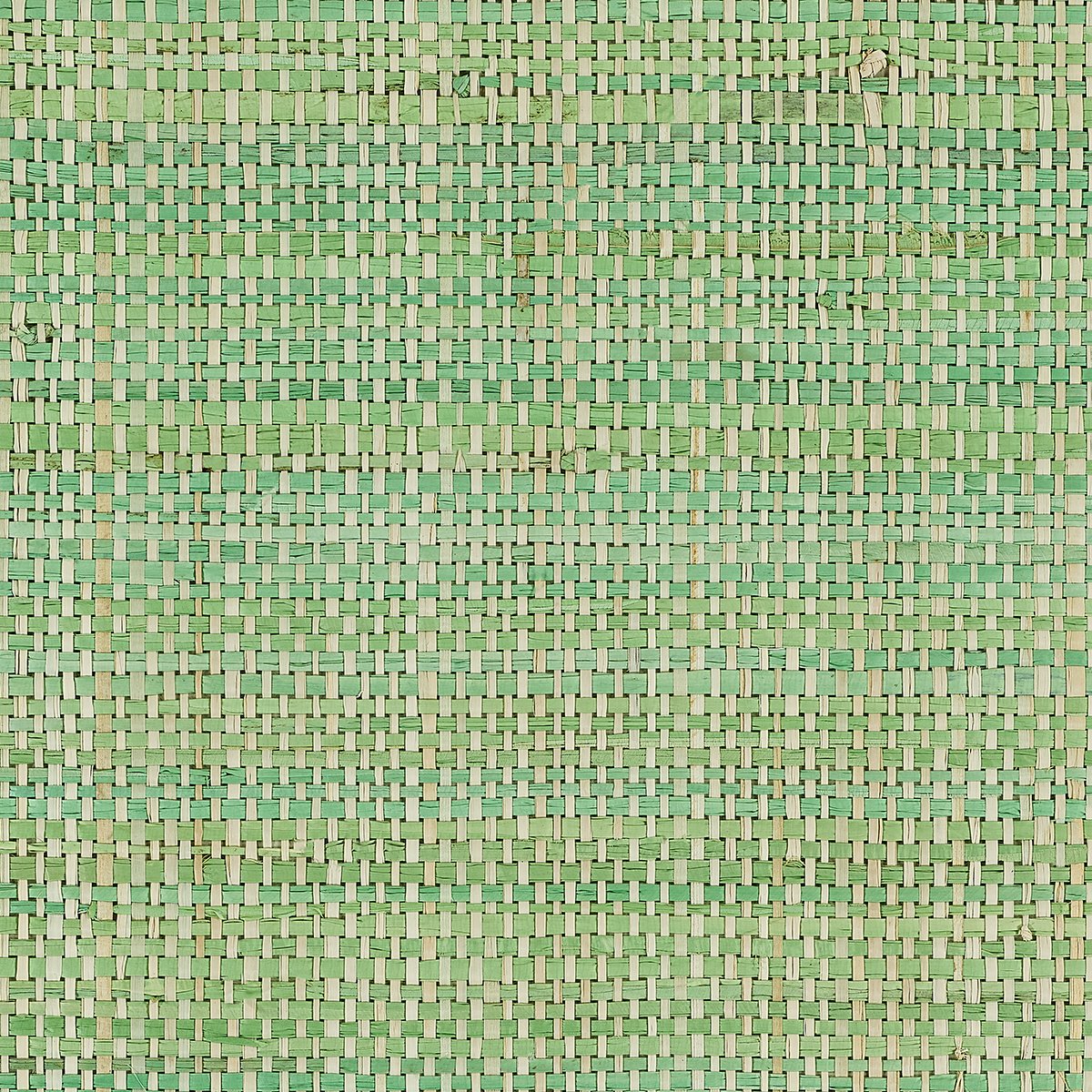 Колекція African Raffia, 3481