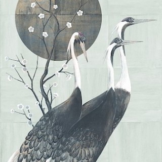 Коллекция Traces, DGTRA7031