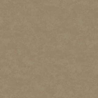 Коллекция  Arboretum, 91731