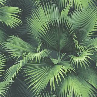 Коллекция Newport, PS40104